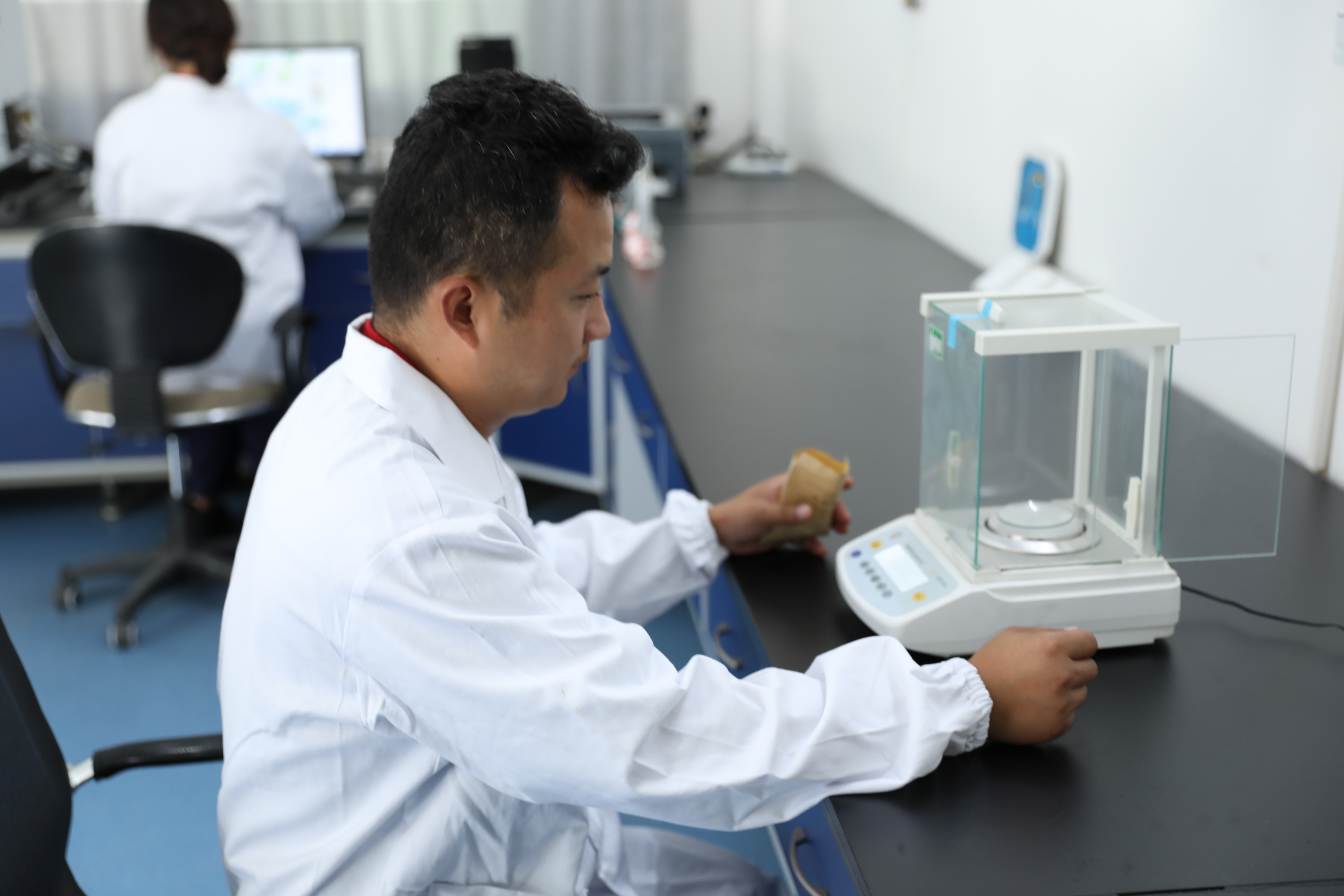 职工在认真做实验